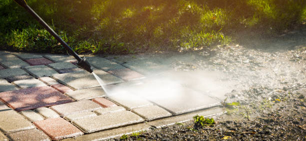 Best Roof Washing  in North River Shores, FL